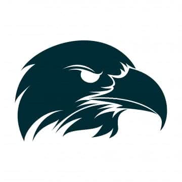 Logo Rajawali Server